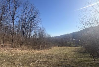 Spațiu comercial, în Băbana - 1