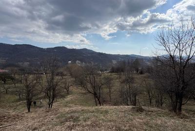 Spațiu comercial, în Malu cu Flori - 4