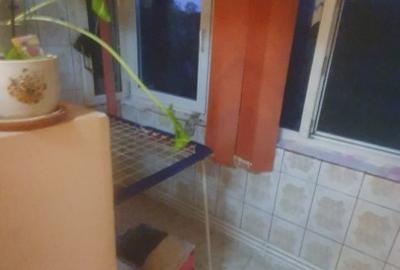 Apartament cu 2 camere semidecomandat în Central - 8