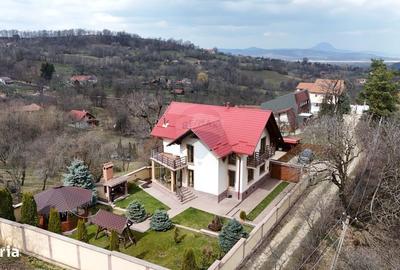 Casă cu 4 camere în Sohodol - 17
