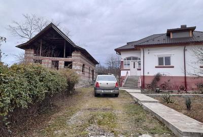 Vand constructie in zona montana ,Corbi ,jud Ag.Facilitati,apa curent ,gaze naturale ,asfalt la poar - 4