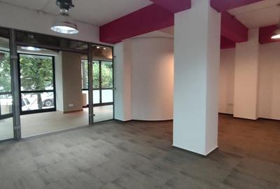 Zona Nord - Mogosoaia - Buftea - 5