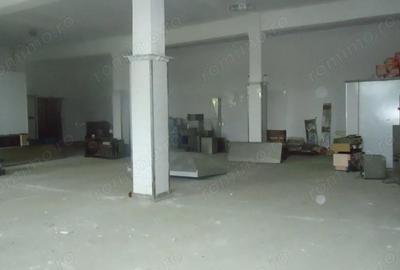 Spațiu comercial, de 10,000 mp, în Drăguțești - 5