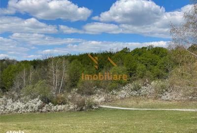 Spațiu comercial, în Bălnaca - 5