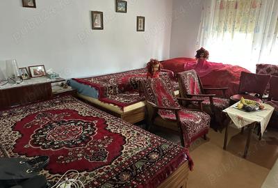De vanzare casa sat Tes, aproape de Timi?oara Topolova?u Mare - 9