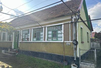 Casa la Sabolciu, Bihor - 2