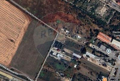 Teren 419mp Magurele / Drumul T32/116, p1, lot 13 - 5