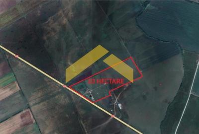 Teren agricol extravilan de 100000 mp, în Sintea Mare