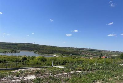 Casă cu 3 camere cu Teren 530 Mp în Paleu - 4