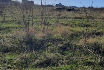 Spațiu comercial, în Central - 1