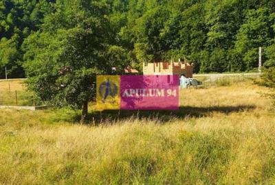 Teren Construcții intravilan de 744 mp, în Periferie - 36