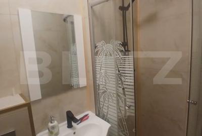 Garsoniera de vanzare, 16 mp, mobilata in stil modern, zona Nicolina - 13