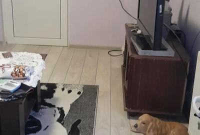 Casă cu 3 camere cu Teren 120 Mp în Brâncoveanu - 2