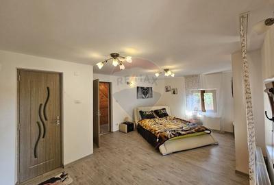 Casă cu 7 camere cu Teren 1134 Mp în Tarcău - 19