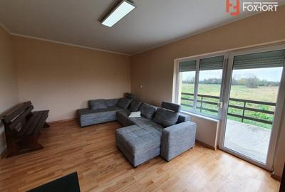 Casa cu 5 camere, 236 mp, teren 5805 mp, Brestea - Denta - 2