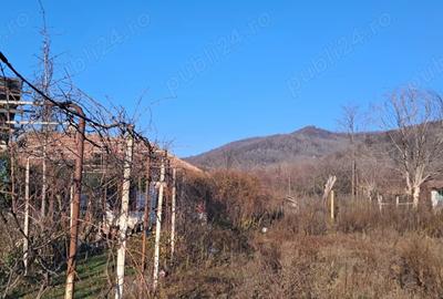 Casa batraneasca si teren. - 4
