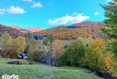 Teren de 2000 mp, în Valea Doftanei - 3