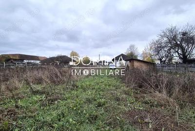 Teren de 6524 mp, în Iezureni - 8