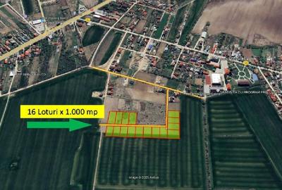 Teren Construcții intravilan de 1000 mp, în Ciolpani - 3