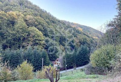 Teren pentru casa de vacanta pe Valea Bratcutei, Bihor - 1