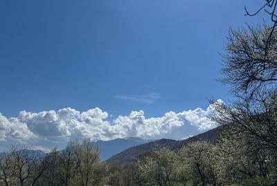 Teren de 3001 mp, în Bran - 1