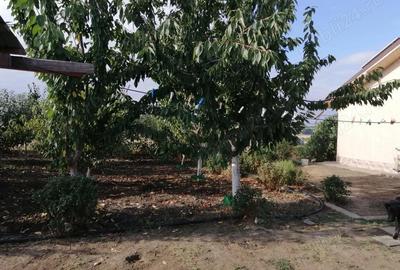 Casă cu 2 camere cu Teren 2300 Mp în Misleanu - 5