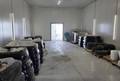 Hala industriala noua de inchiriat – Lumina, Constanta - 3