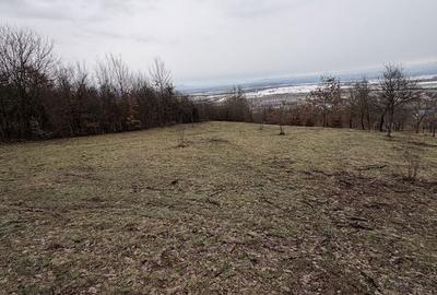 Spațiu comercial, în Buzești - 1