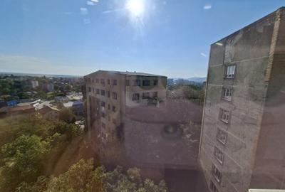 Apartament cu o camera, Tatarasi-Flora - 9