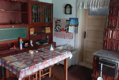 De vanzare casa familiala complet mobilata Dobra, jude?ul Satu Mare - 3