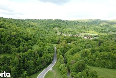 Teren de 4000 mp, în Babarunca - 8
