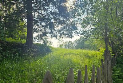 TEREN DE VANZARE APROAPE DE PADURE TEREN DE VANZARE APROAPE DE PADURE - 16