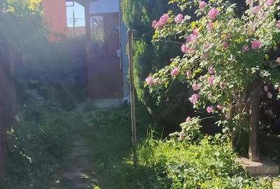 Apartament 2 camere Balcescu de vanzare - 9