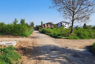 Teren de 2607 mp, în Bârnova - 4