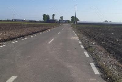 Teren de 4850 mp, în Dobreni - 7