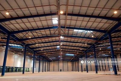CTPark Timisoara, hale industriale, 0%comision, 4.500 - 4... - 4