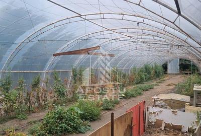 Casa individuala, teren generos, oportunitate de investitie - 2