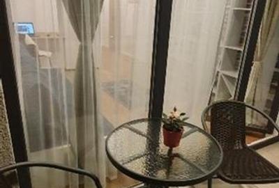 Studio complex Aviatiei Apartments, Aviatiei, Herastrau - 10