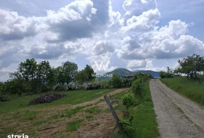 Teren de 1000 mp, în Central