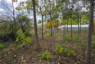 Teren  715  mp  intravilan Petresti - 9