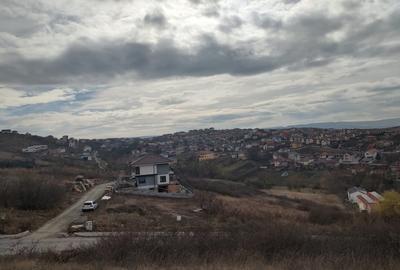 Teren intravilan 479mp in Dezmir - 14