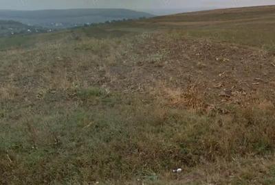 Teren de 2700 mp, în Cerbu - 1