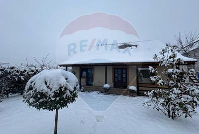 Casă / Vilă cu 4 camere de vânzare în zona Bujac-Arad - 29