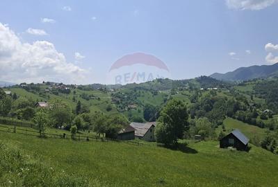 Casa de vacanta in Magura, la poalele Muntilor Piatra Craiului - 5