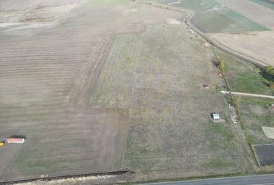 Parcele de teren 650mp | Dudestii Noi - 6