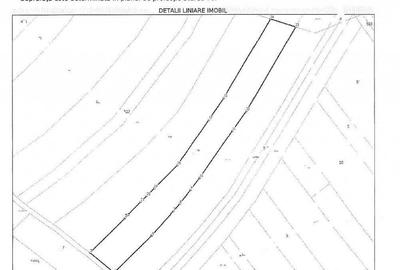 Teren extravilan loc. , Jud Gorj - 3