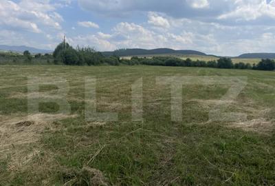 Teren extravilan 1200 mp Dorolea, aproape de Manastire - 5