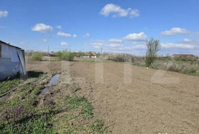 Casă cu 3 camere cu Teren 1453 Mp în Central - 5