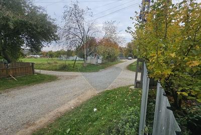 Casuta de la tara - 28