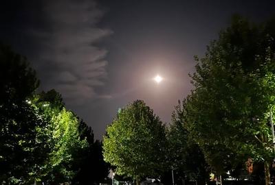 Direct Proprietar | Studio Modern in Greenfield Residence – Langa Padurea Baneas - 14